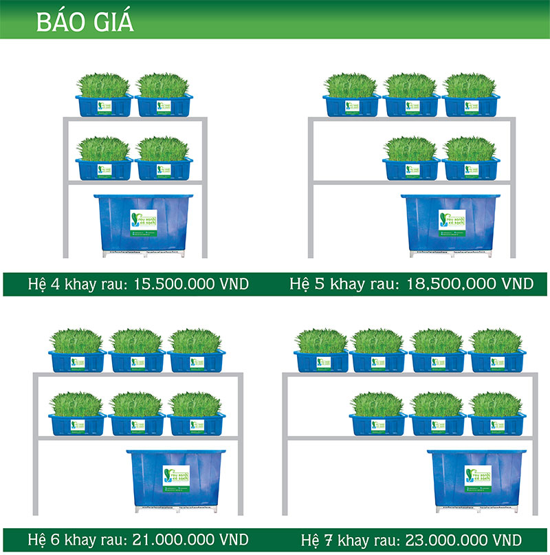 bao-gia_website-01-w