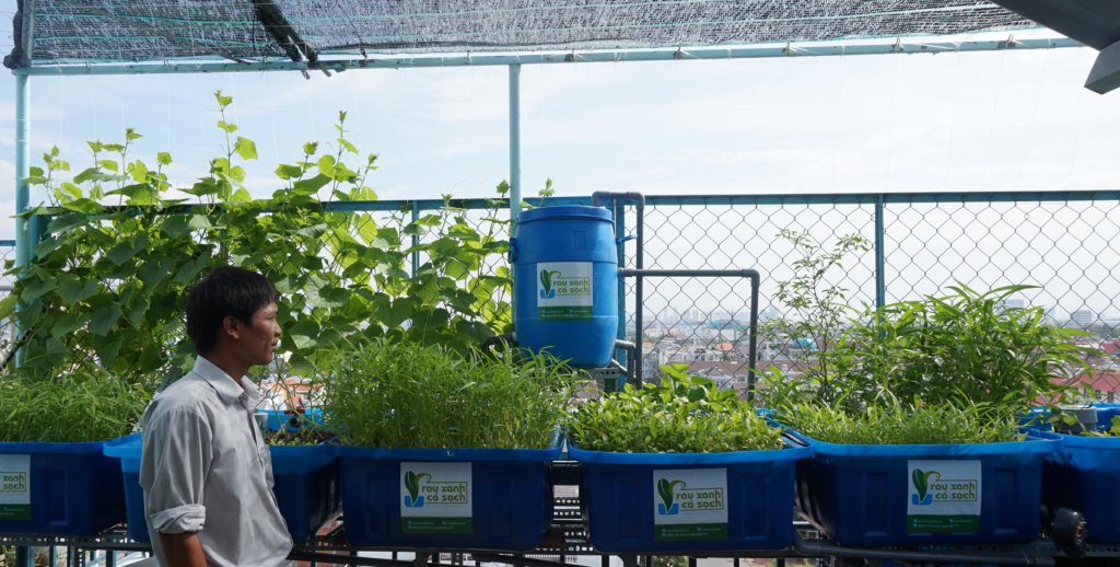 rau-xanh-ca-sach-aquaponics-he-6-khay-rau