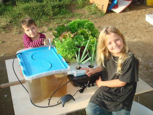 cung-tre-kham-pha-aquaponics2