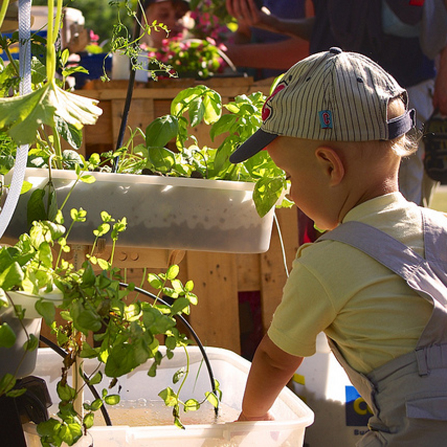 cung-tre-kham-pha-aquaponics3