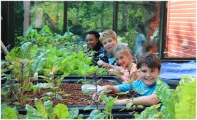 cung-tre-kham-pha-aquaponics4