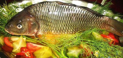 ca-diec