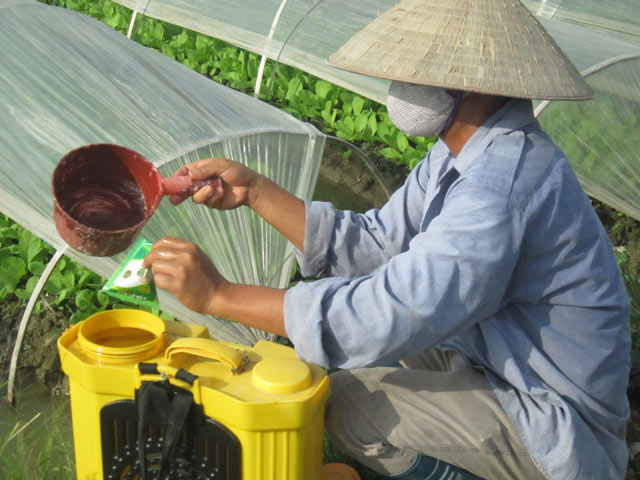 rau-tam-thuoc-doc