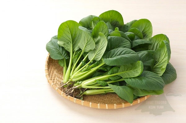 cach-trong-va-cham-soc-rau-chan-vit-tai-nha
