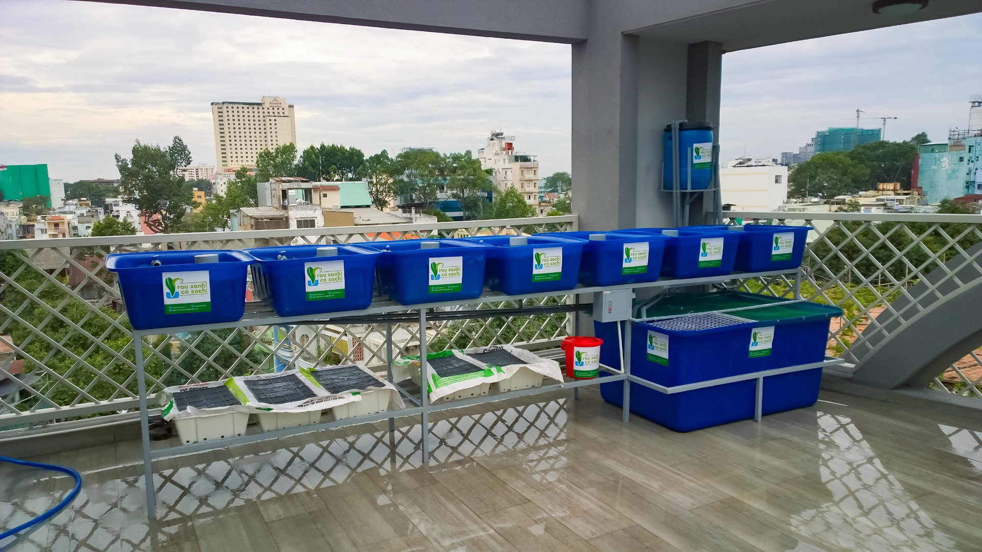 Khay-rau-va-bon-ca-he-aquaponics