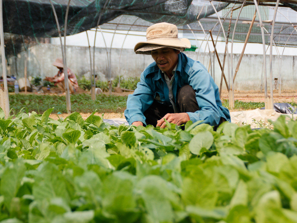 rau-khong-an-toan-vi-mot-so-nguyen-nhan-ma-ban-nen-biet