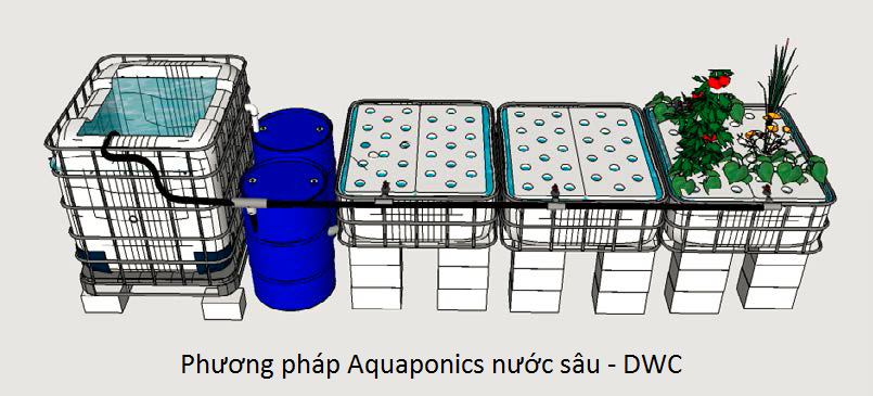 so-do-phuong-phap-aquaponics-nuoc-sau-dwc