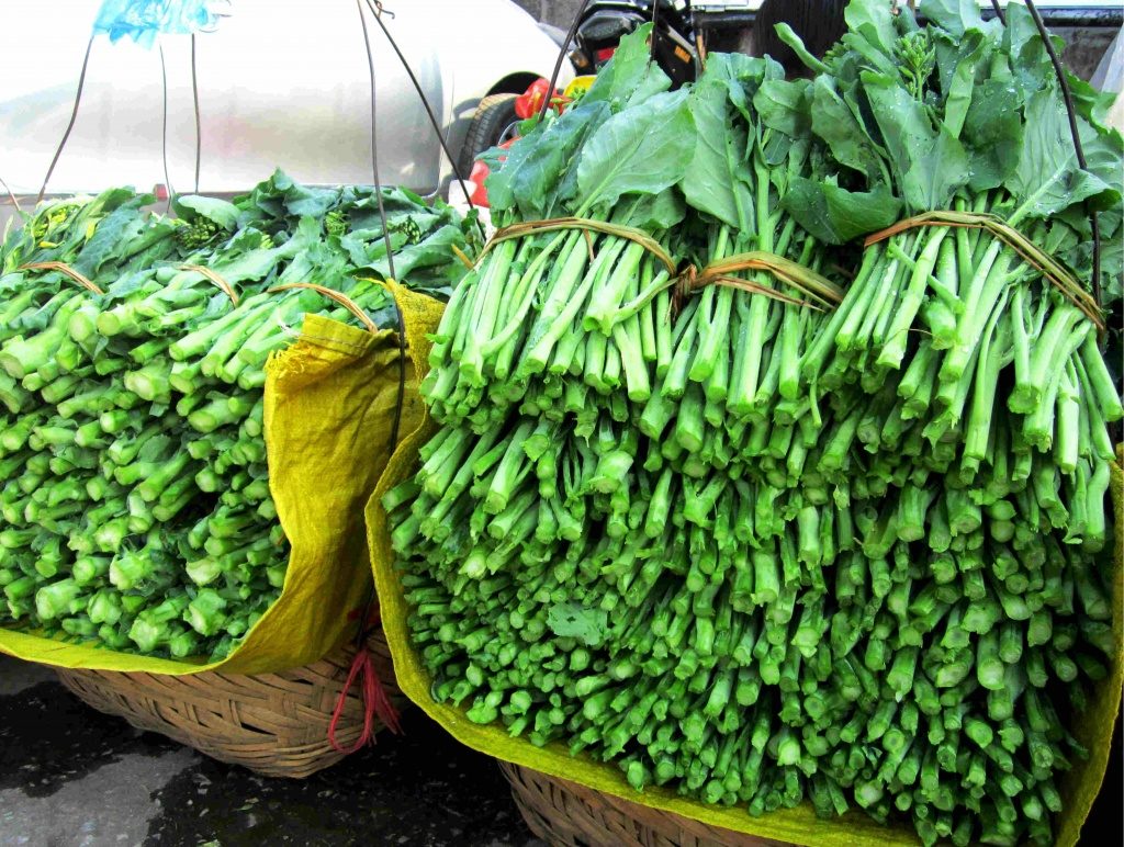 neu-khong-biet-nguon-goc-cua-rau-thi-nen-han-che-mua4