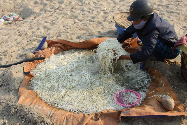 neu-khong-biet-nguon-goc-cua-rau-thi-nen-han-che-mua6