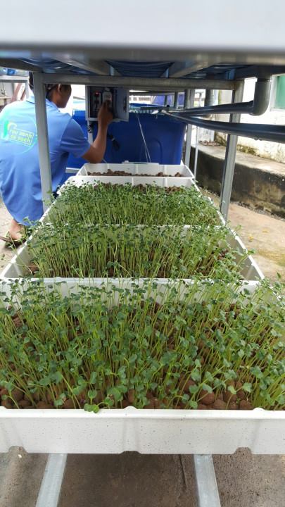 dich-vu-cham-soc-dinh-ky-gian-aquaponics_2