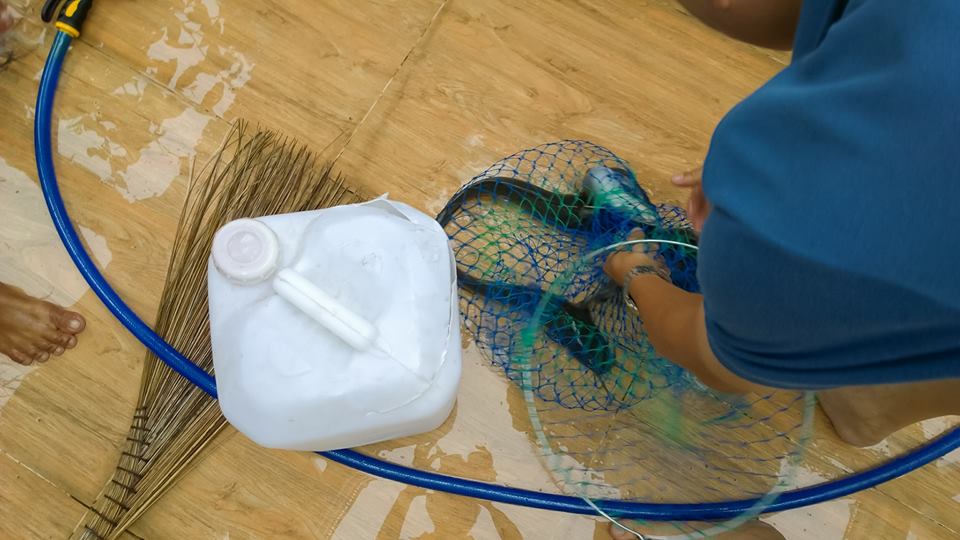 Cá sạch được nuôi trong hệ thống vườn rau sạch Aquaponics3