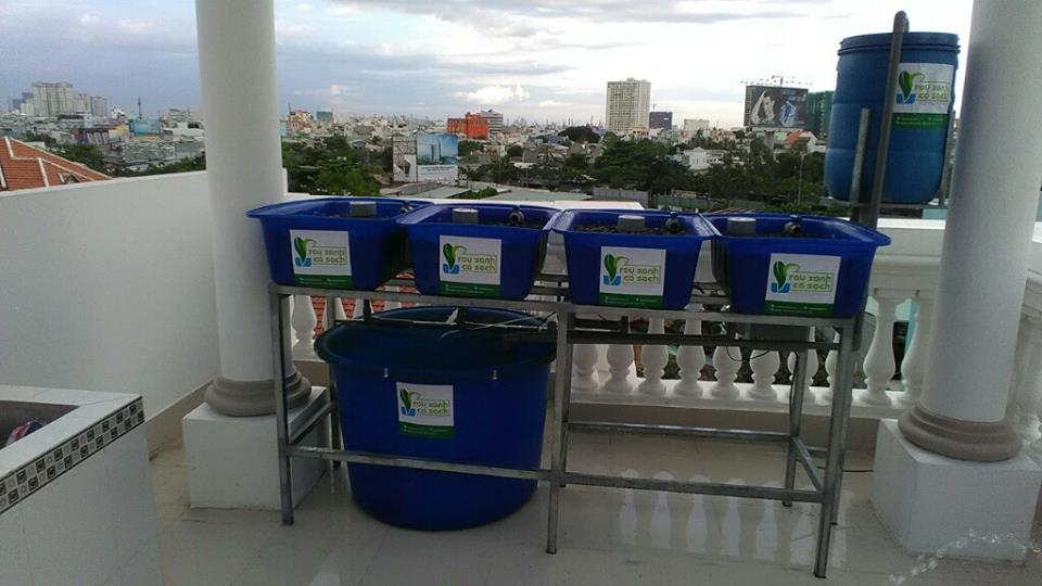 Giàn rau xanh cá sạch Aquaponics mini dành cho sân thượng2