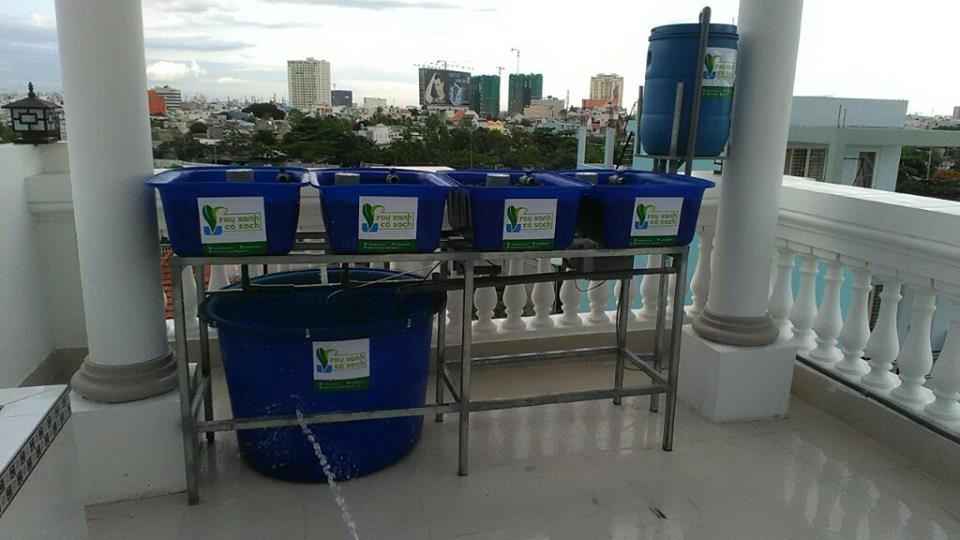Giàn rau xanh cá sạch Aquaponics mini dành cho sân thượng3