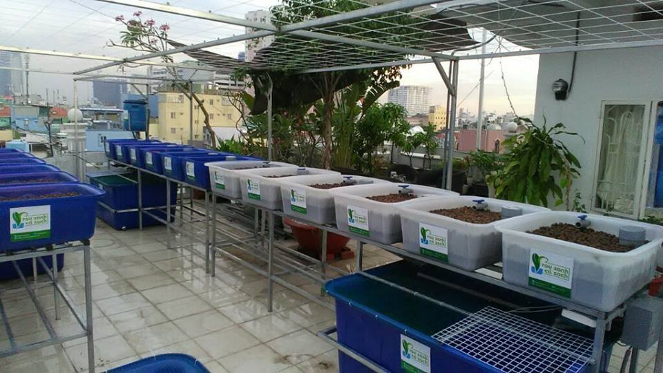 Vật dụng cần thiết cho một hệ Rau xanh cá sạch Aquaponics