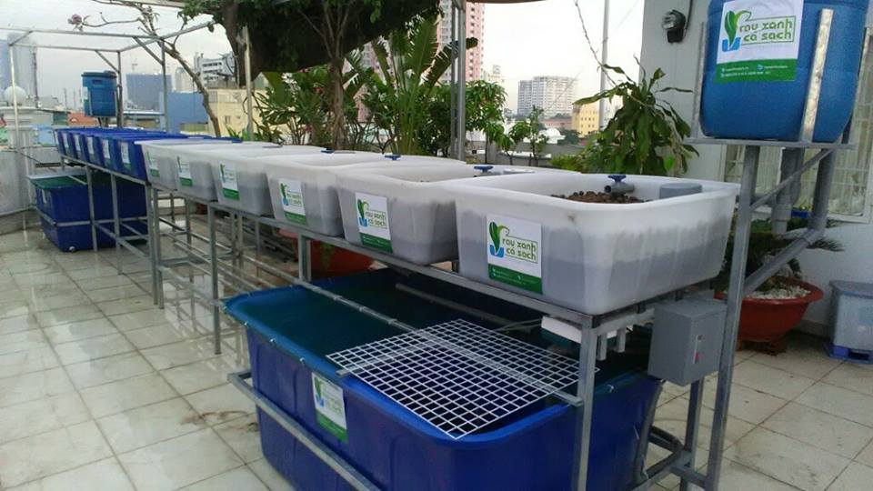 Vật dụng cần thiết cho một hệ Rau xanh cá sạch Aquaponics1