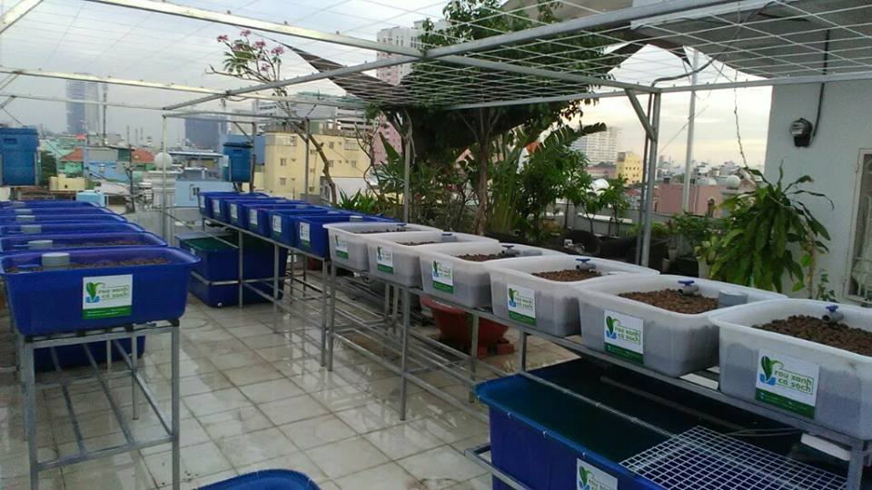 Vật dụng cần thiết cho một hệ Rau xanh cá sạch Aquaponics2