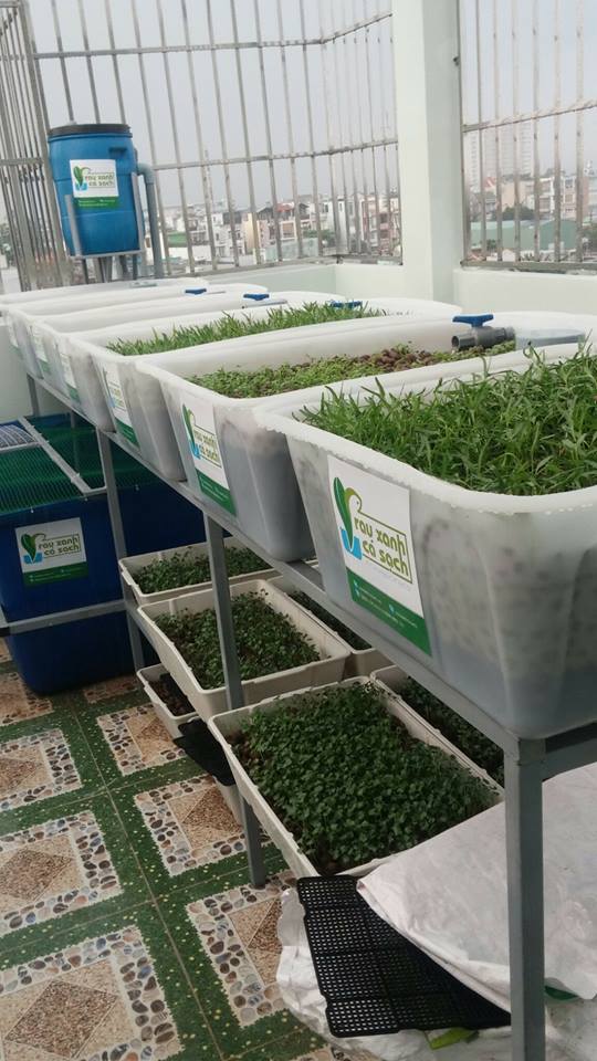 Với mục tiêu lợi ích của khách hàng là trên hết, hệ thống Aquaponics của RXCS đang từng ngày được nâng cao chất lượng để phục vụ quý khách hàng.12