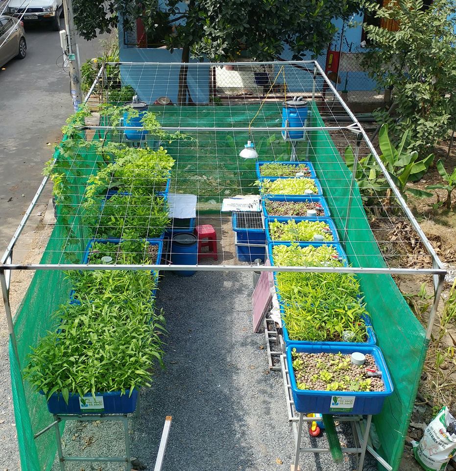 Với mục tiêu lợi ích của khách hàng là trên hết, hệ thống Aquaponics của RXCS đang từng ngày được nâng cao chất lượng để phục vụ quý khách hàng.17