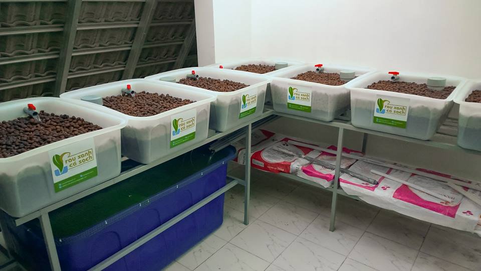 Với mục tiêu lợi ích của khách hàng là trên hết, hệ thống Aquaponics của RXCS đang từng ngày được nâng cao chất lượng để phục vụ quý khách hàng.9