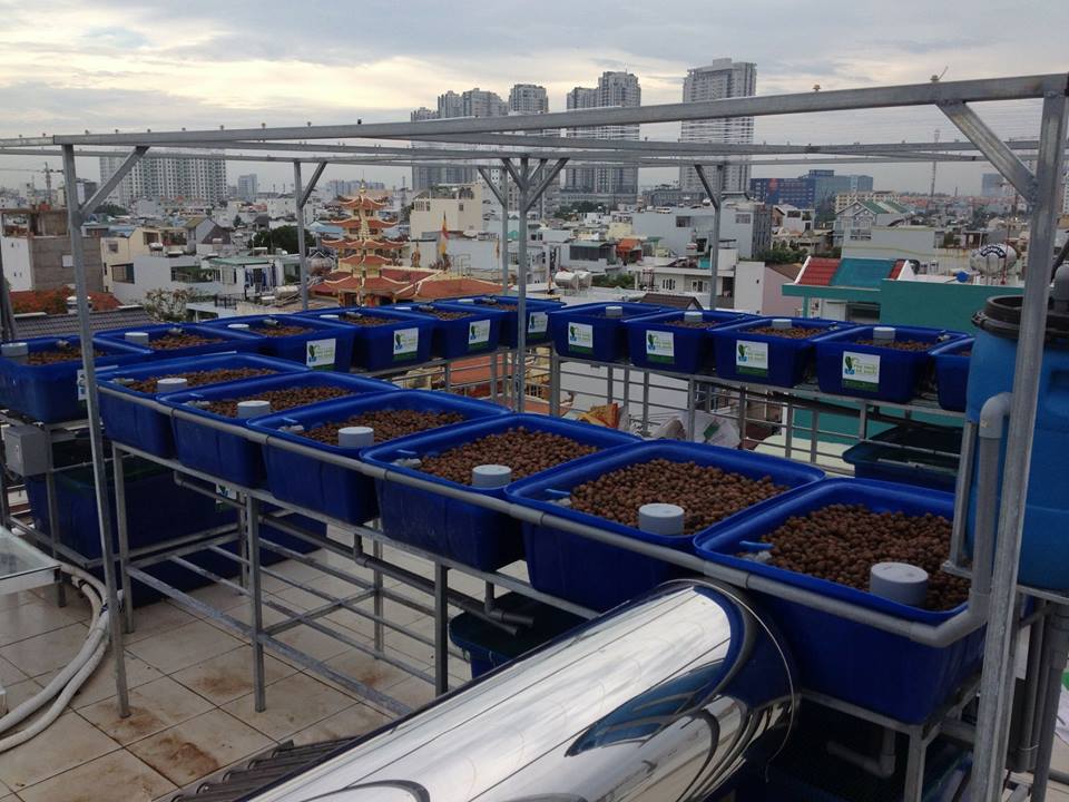 Sự kết hợp của nuôi trồng thủy sản và thủy canh là Aquaponics1