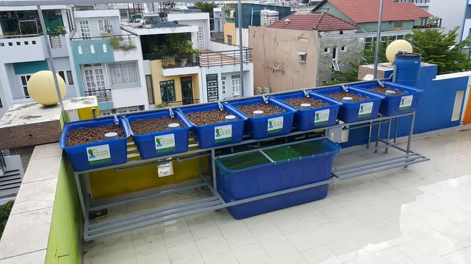 He-aquaponics-7-khay-rau-100l-3
