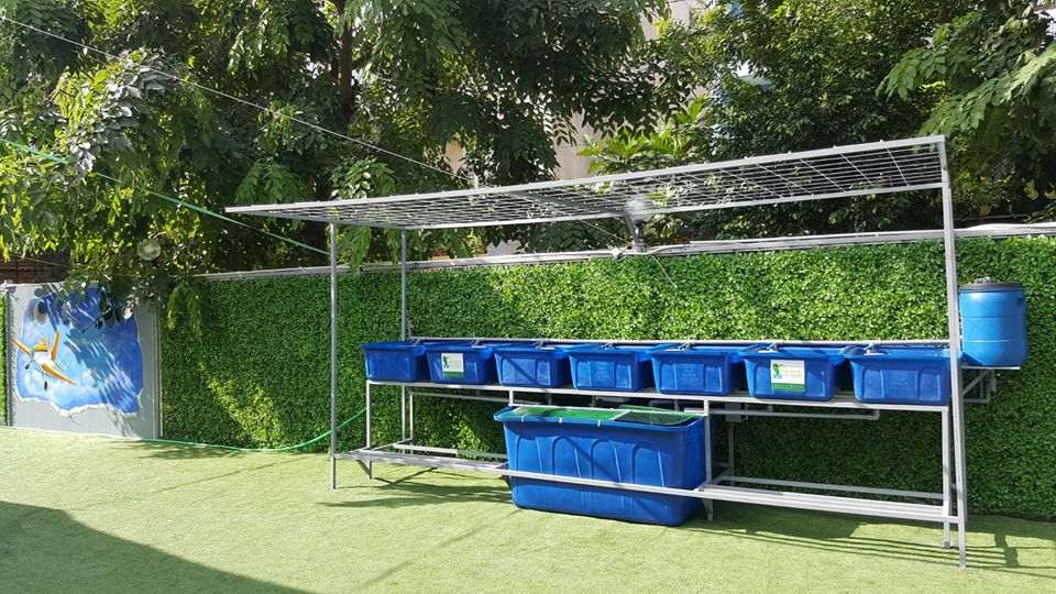 He-aquaponics-7-khay-rau-100l-4