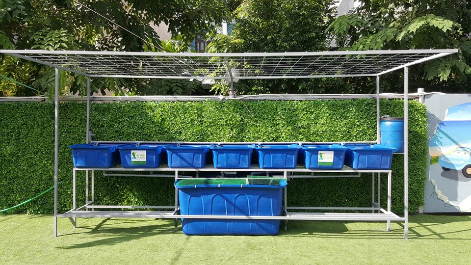 He-aquaponics-7-khay-rau-100l-5