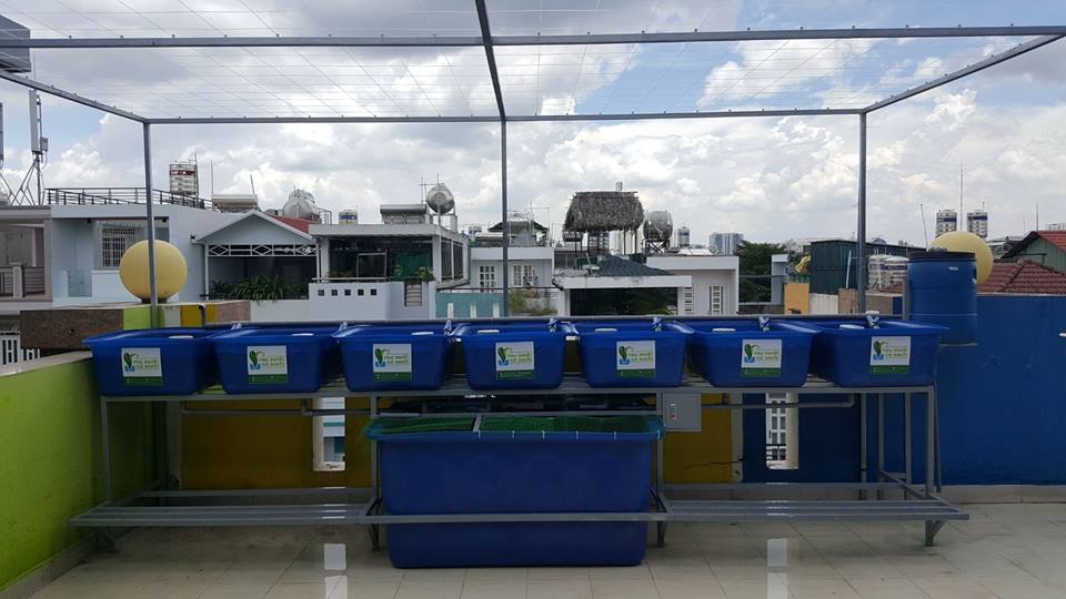 He-aquaponics-7-khay-rau-100l