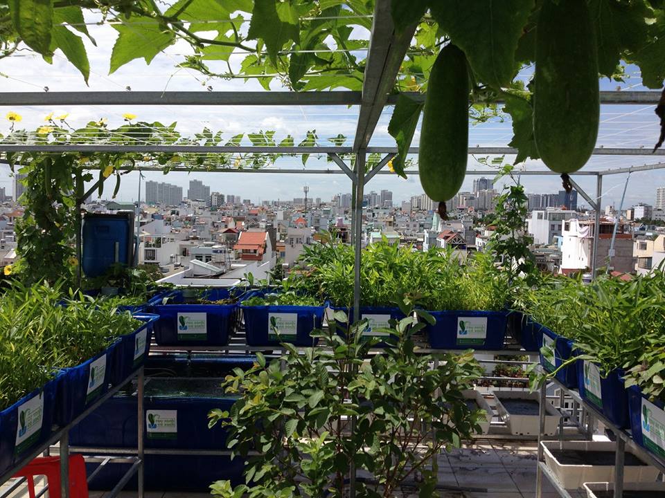 bau-tren-he-aquaponics-18-khay-rau-100l-quan-7_1