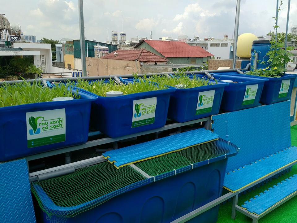 he-aquaponics-cho-truong-mam-non-3