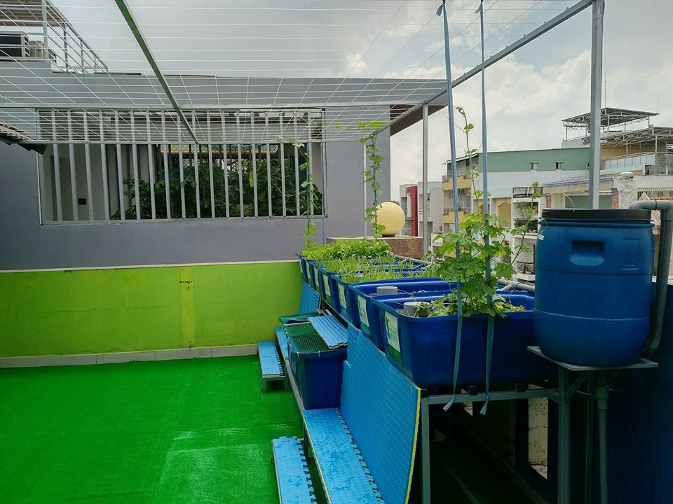 he-aquaponics-cho-truong-mam-non-4