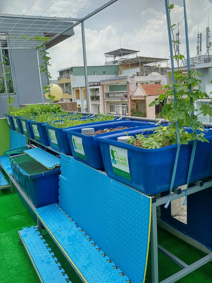 he-aquaponics-cho-truong-mam-non