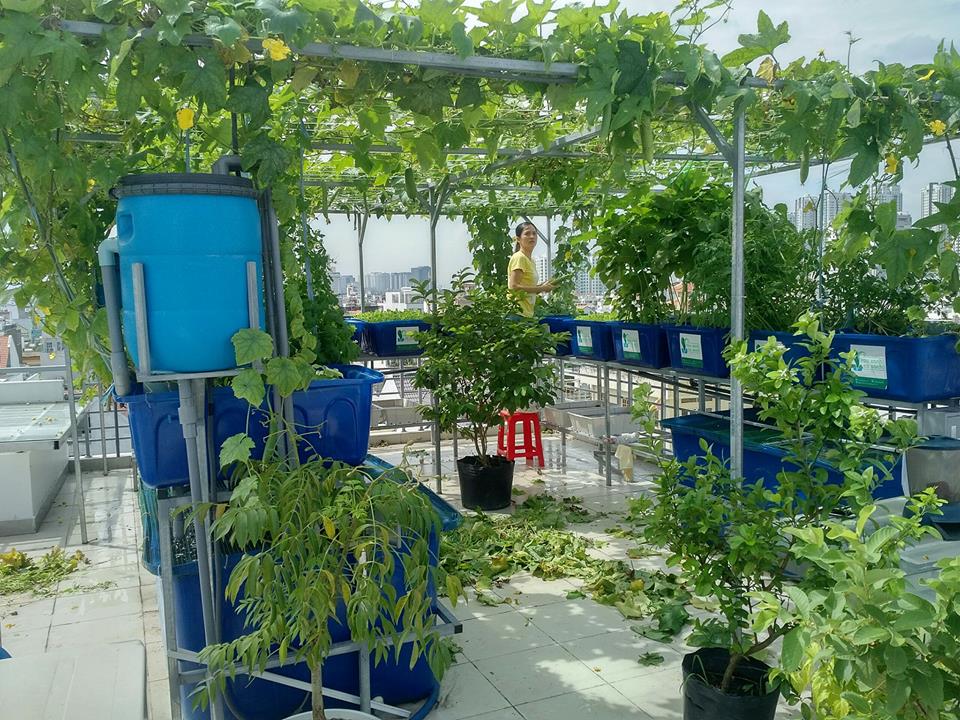 He-aquaponics-khung-quan-7