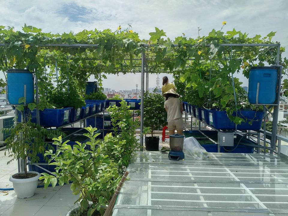 He-aquaponics-khung-quan-7_1