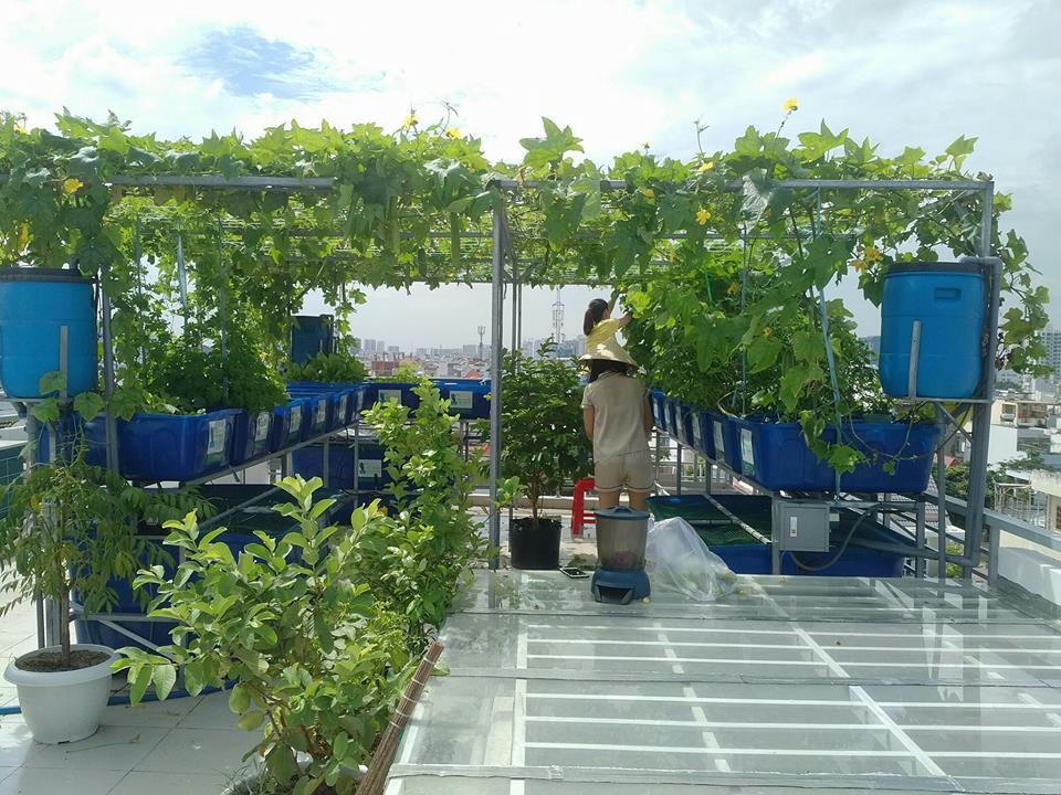 He-aquaponics-khung-quan-7_2