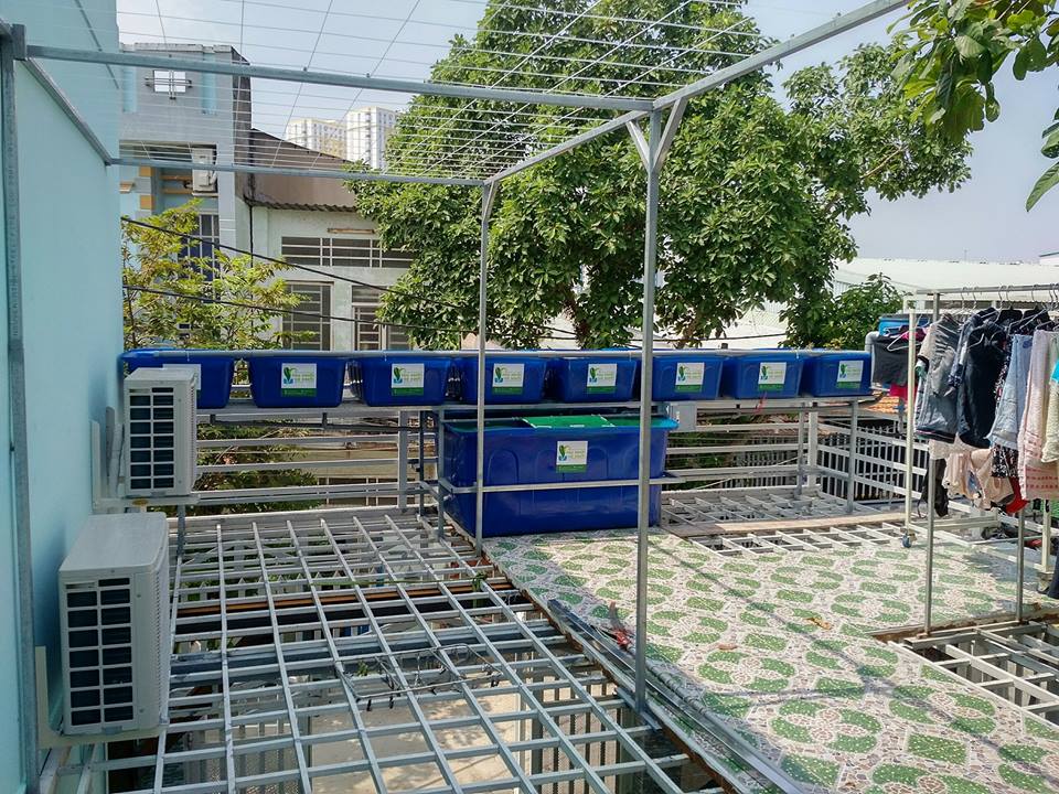 he-aquaponics-8-khay-rau-100l-quan-8_1