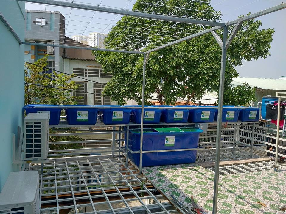 he-aquaponics-8-khay-rau-100l-quan-8_2