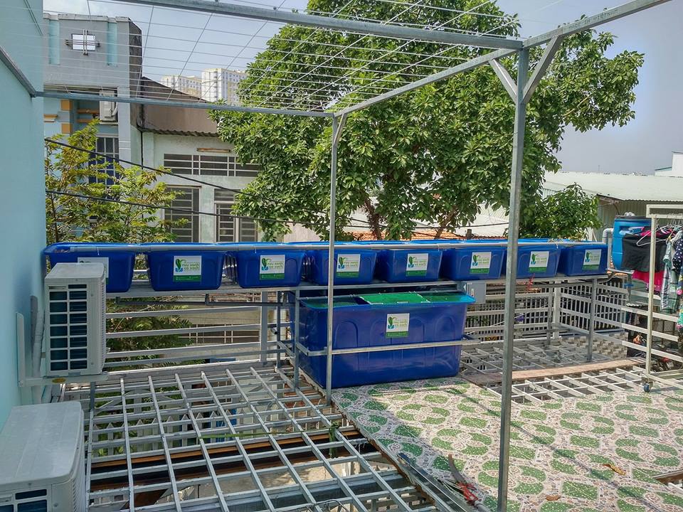 he-aquaponics-8-khay-rau-100l-quan-8_3