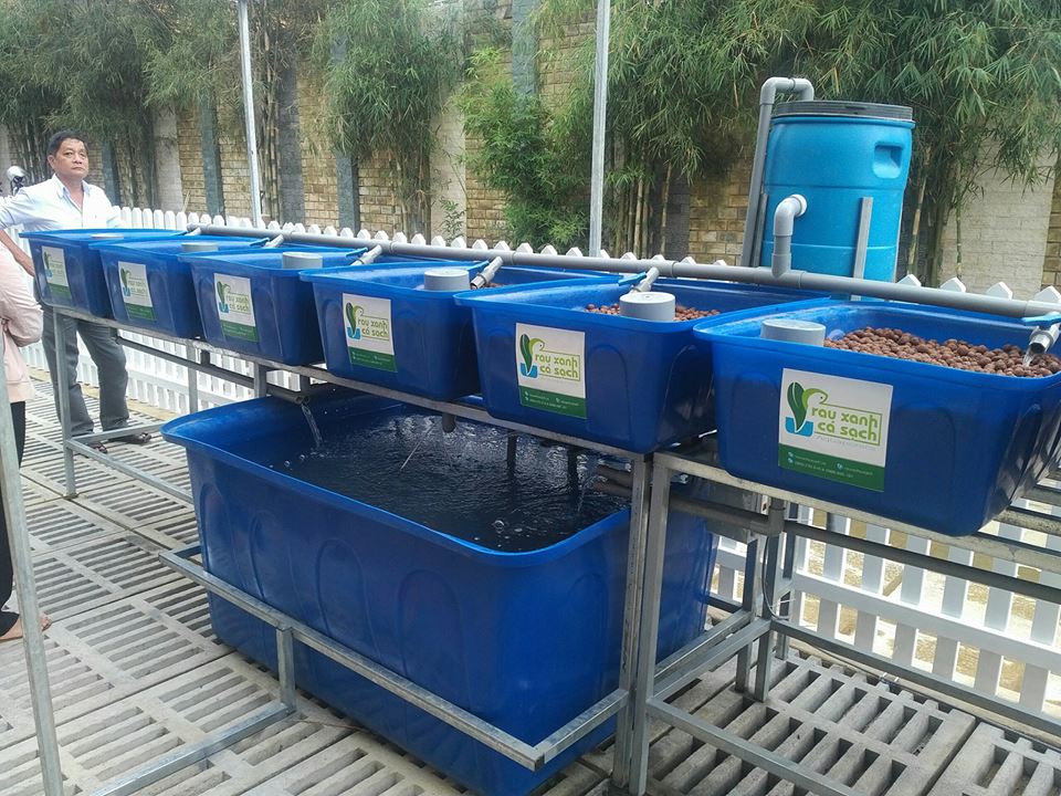 he-aquaponics-bao-loc-lam-dong-1