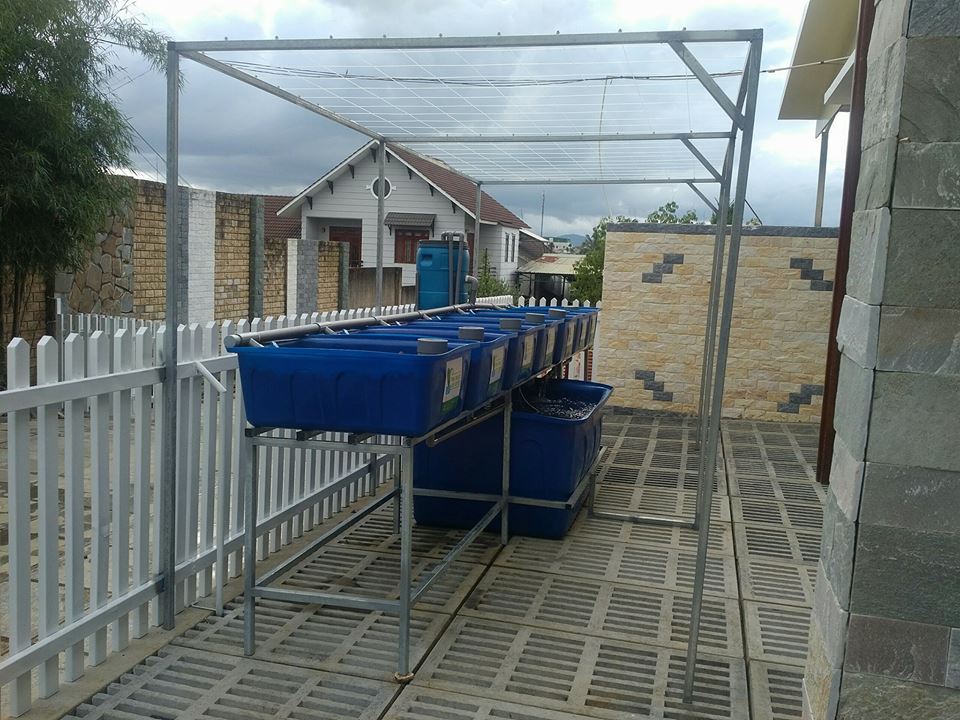 he-aquaponics-bao-loc-lam-dong-2
