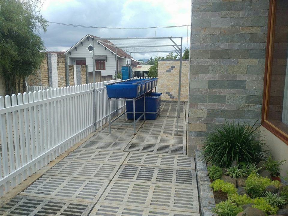 he-aquaponics-bao-loc-lam-dong-3