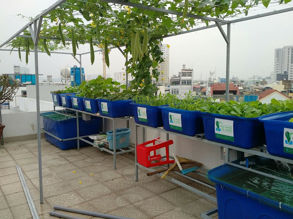he-aquaponics-10-khay-rau-100l-ho-ca-750l