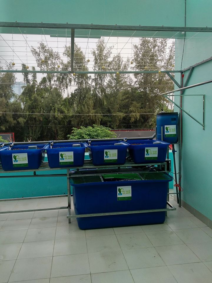 he-aquaponics-5-khay-rau-100l-ho-ca-750l-1