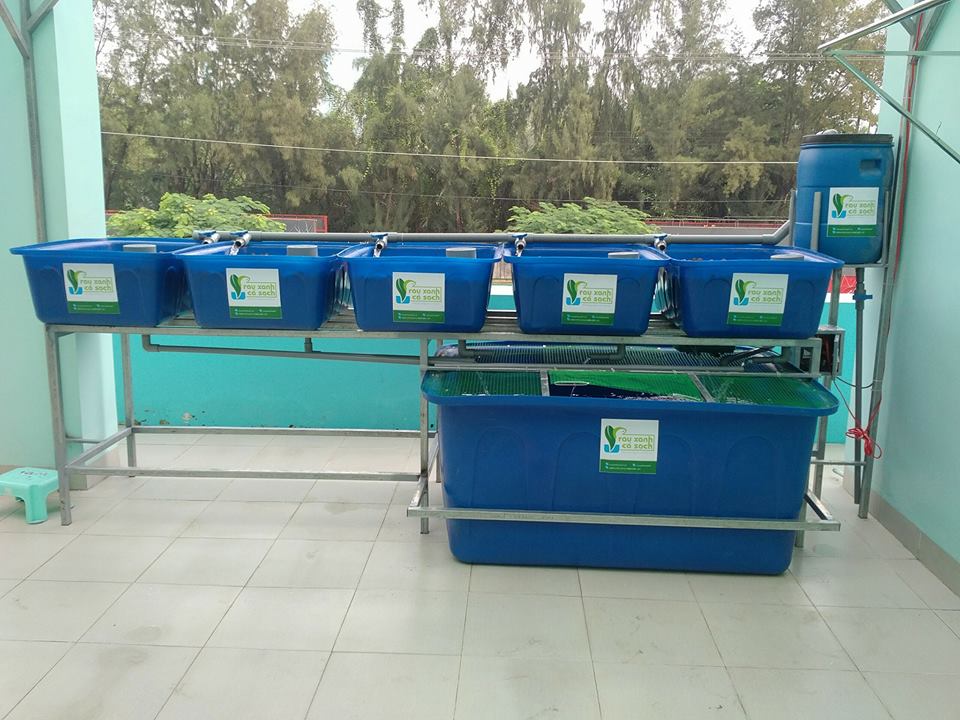 he-aquaponics-5-khay-rau-100l-ho-ca-750l