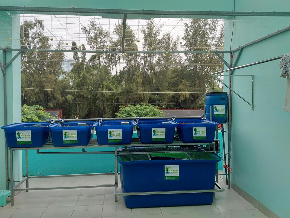 he-aquaponics-5-khay-rau-100l-ho-ca-750l-2