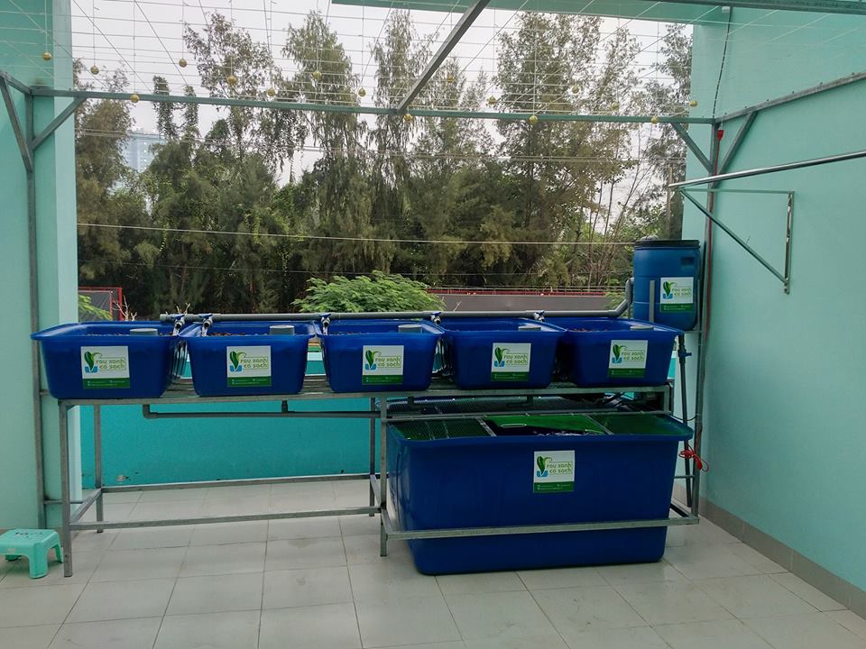 he-aquaponics-5-khay-rau-100l-ho-ca-750l-3