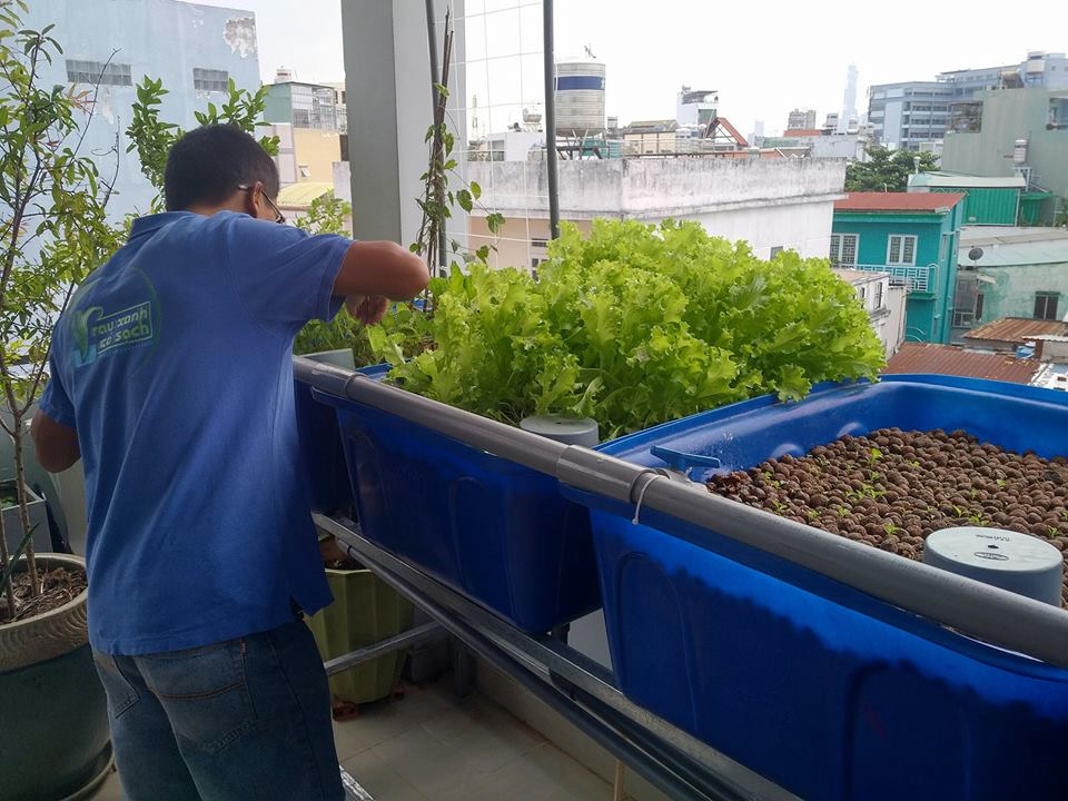 xa-lach-trong-he-aquaponics-5-khay-rau-100l-ho-ca-750l-1