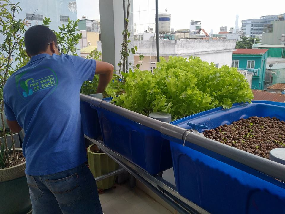 xa-lach-trong-he-aquaponics-5-khay-rau-100l-ho-ca-750l-2