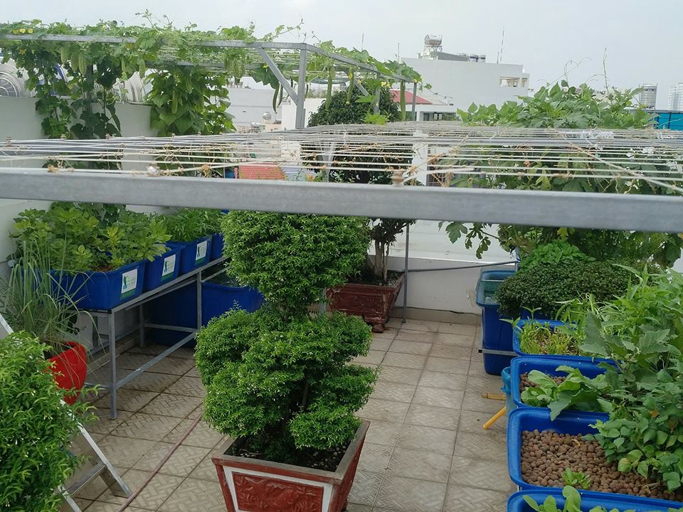 Toan-canh-he-aquaponics-san-thuong