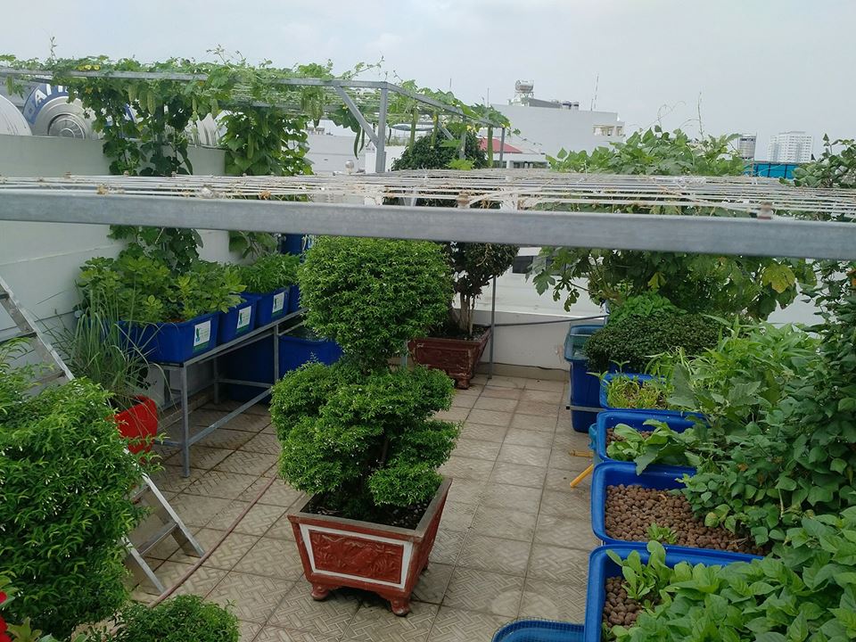 Toan-canh-he-aquaponics-san-thuong_1
